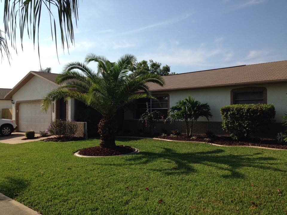 New rock and plants!