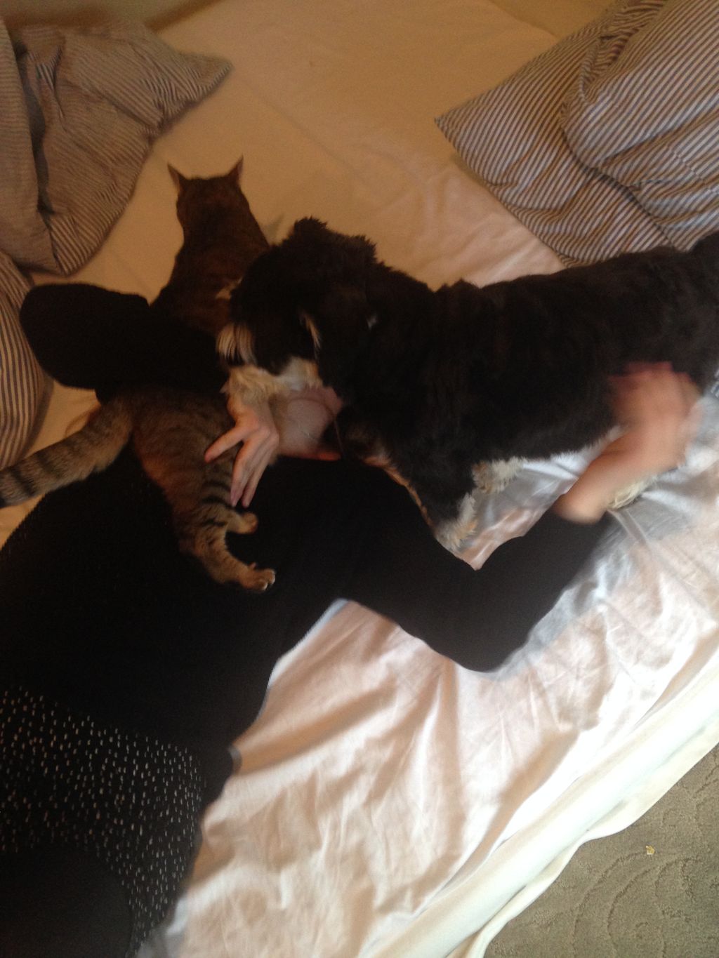 Frankie and Gisma