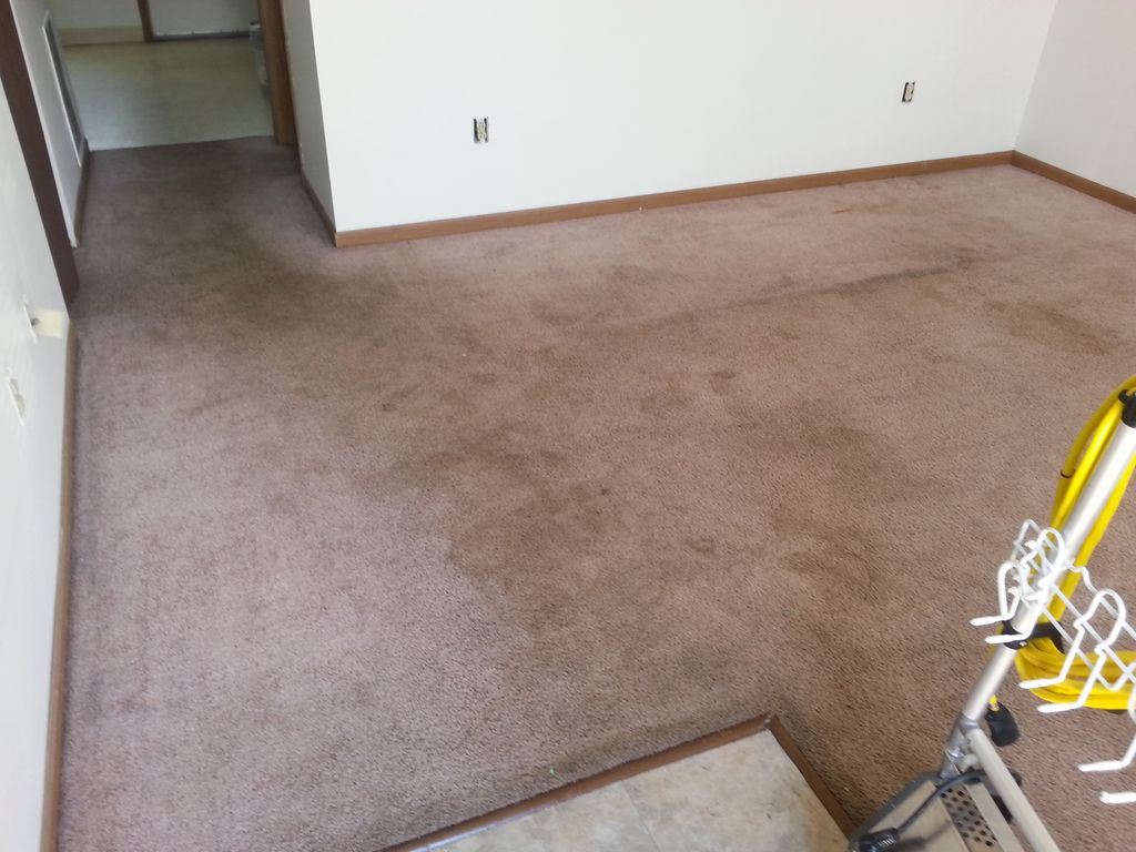 Before Oxifresh Cleaned this apartment.