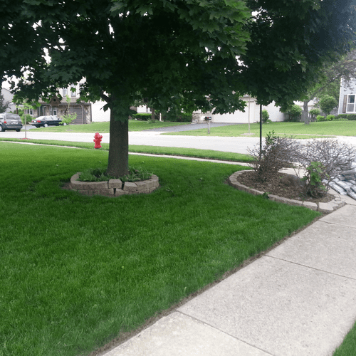 existing landscaping