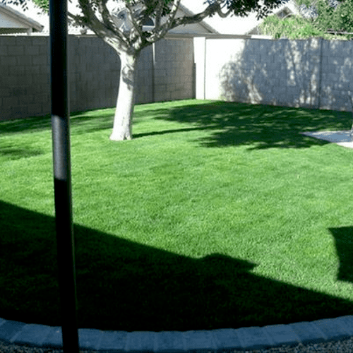 Brick boarder paver and sod lawn installation