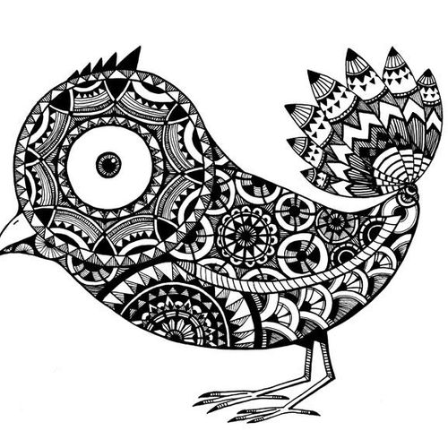 Patterned Bird - 
Surrealism - 
Ink