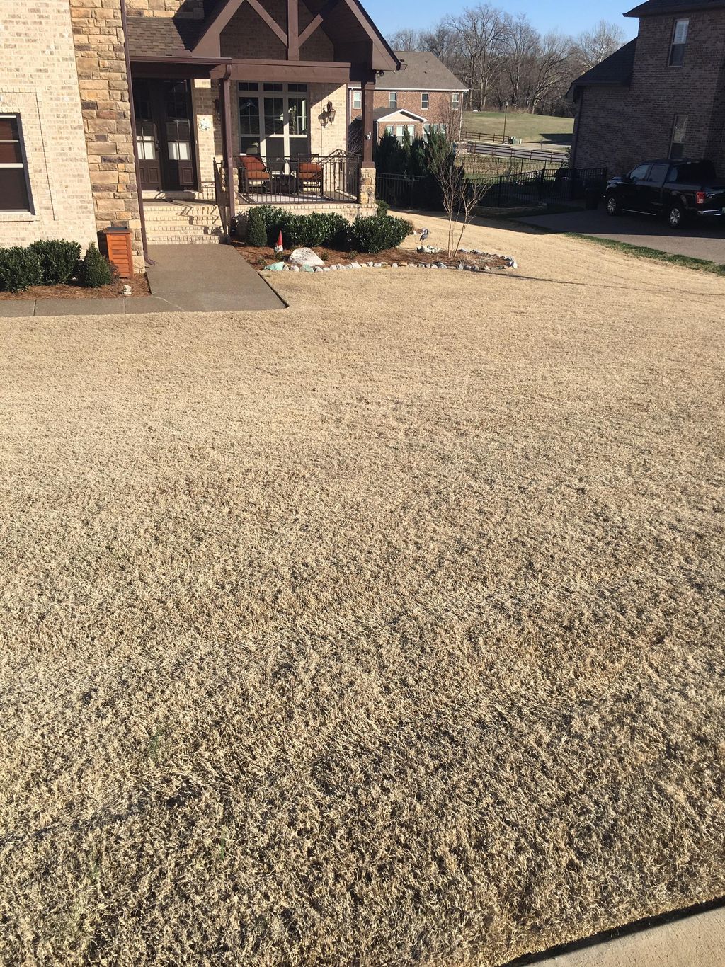 Weed free Bermuda grass lawn during dormant season