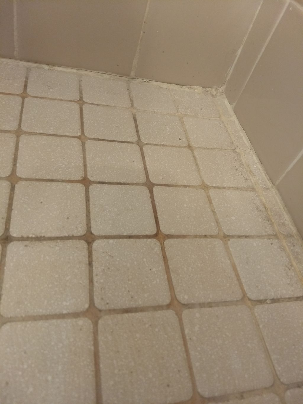 Before: bathroom floor that was heavily stained th
