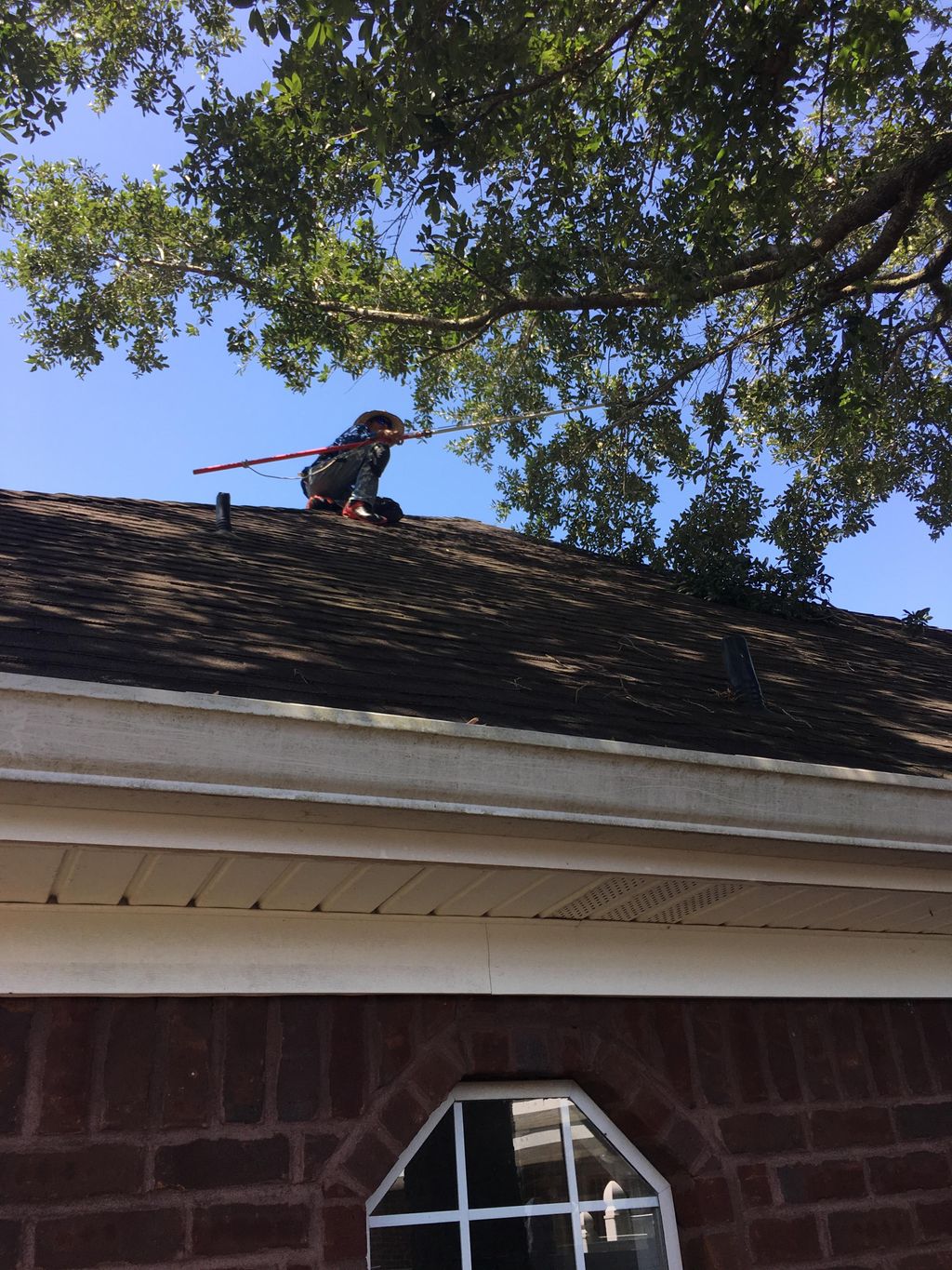 Employee cutting limbs that were hanging on the ro