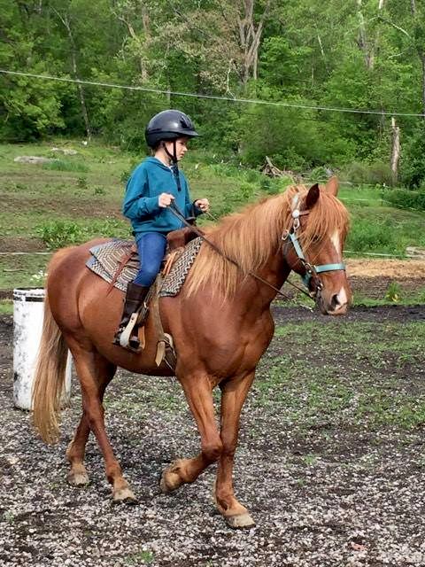 Riding Lessons for ages 5 and up