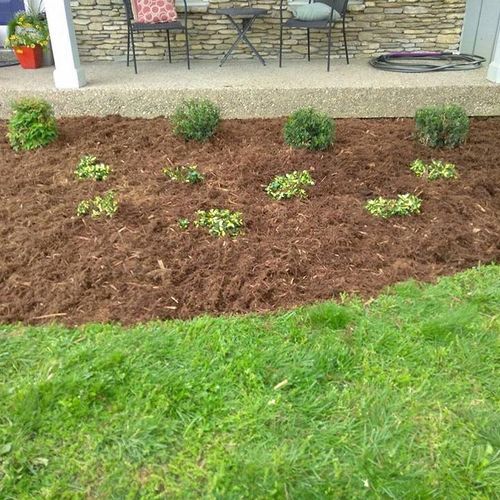 A fresh edge around a bed and new mulch 