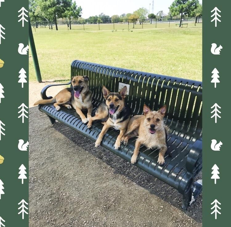 “Place” on a park bench.
