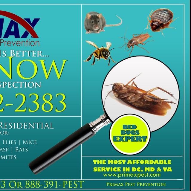 Primax Pest Control & Bedbug Heating Services