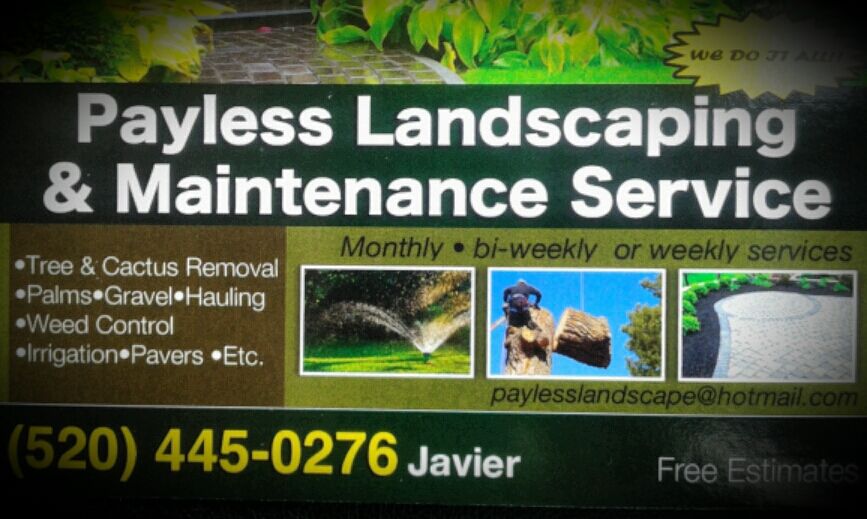 Payless Landscape and Maintenance Service