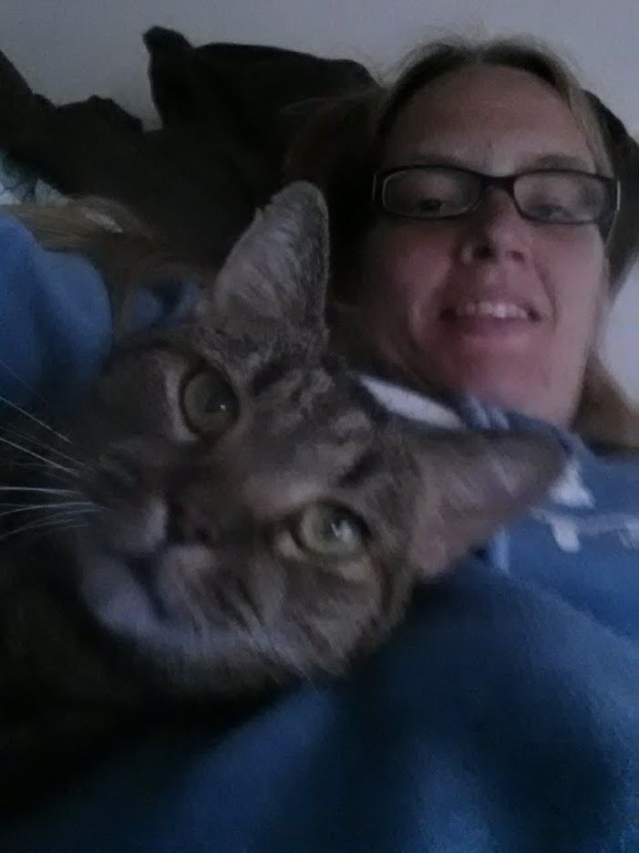 Sammi, a 12 year old "spunky" cat that I adopted f