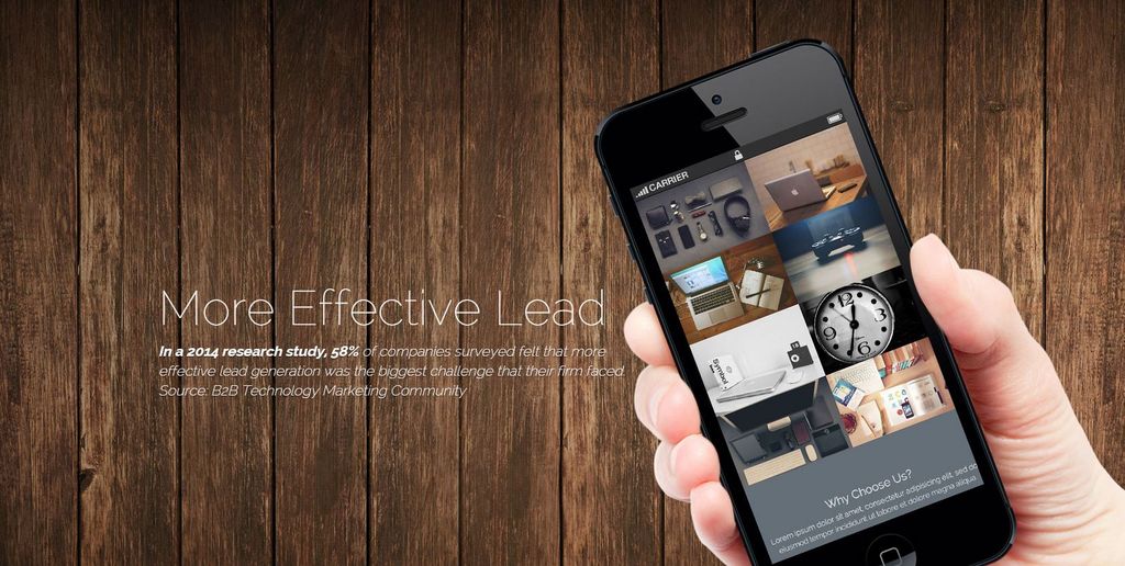 Developed the new company name, LeaDynamix, for th