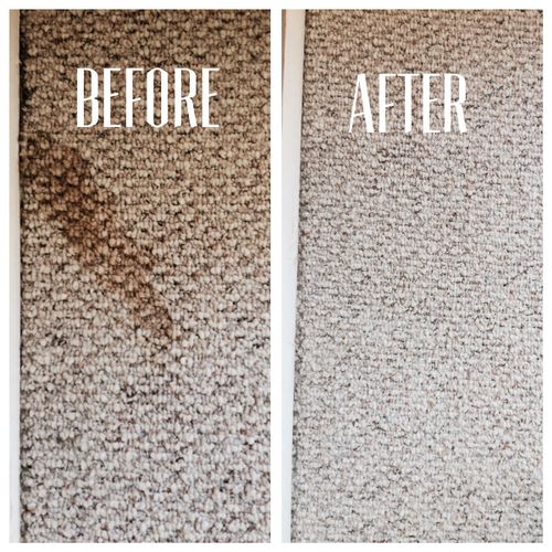 We can get most stains out of your carpeting
