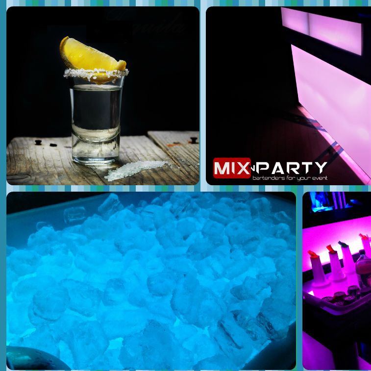 Mix n Party Bartenders