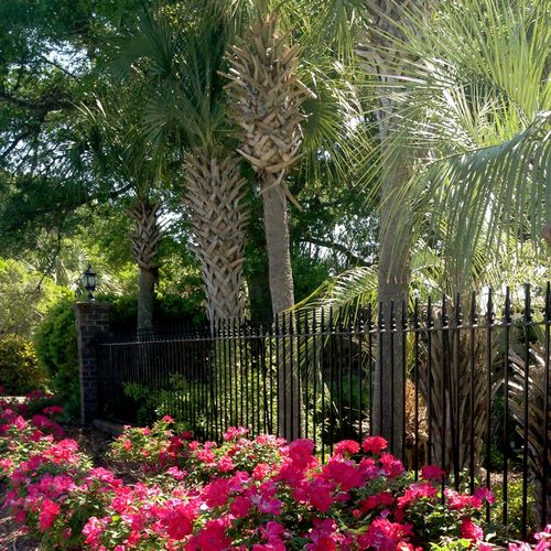 Shrubs, Palms, Flowers, we install and design