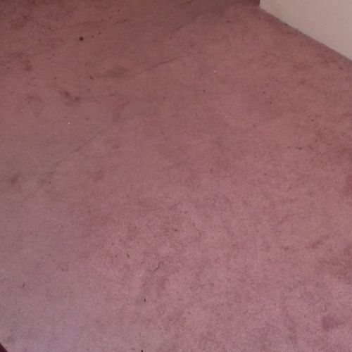 Carpet Before Being Cleaned By Our Techs