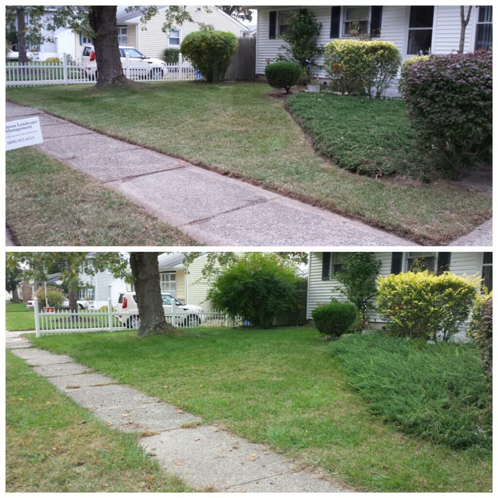 Nice simple clean up
