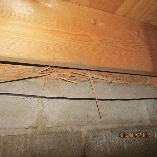 Termite/Insect damage on floor structure in crawls