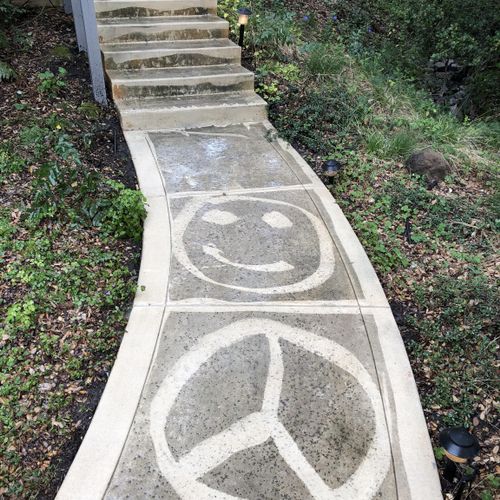 Power wash before and after (artfully done) 