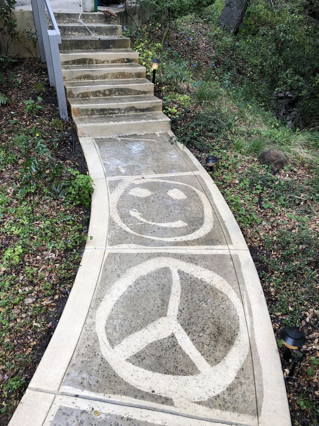 Power wash before and after (artfully done) 