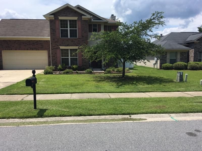 Another Basic Cut Package