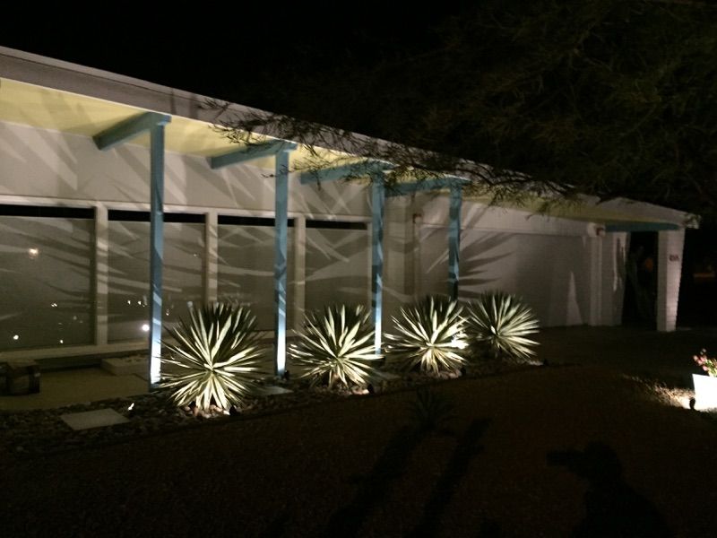 Up lighting Low voltage night lighting