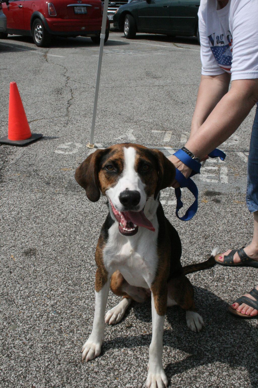 One of my best friends when she was just a pup!