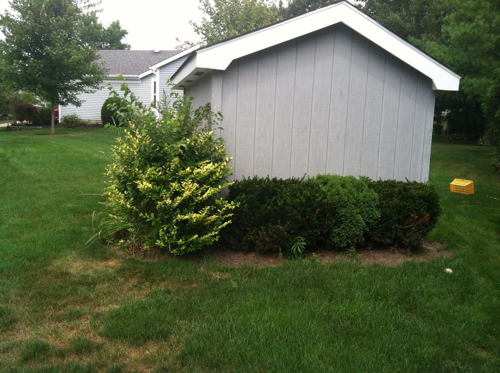 before this lawn looked pretty badlike this, and 