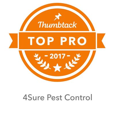 Avatar for 4Sure Pest Control