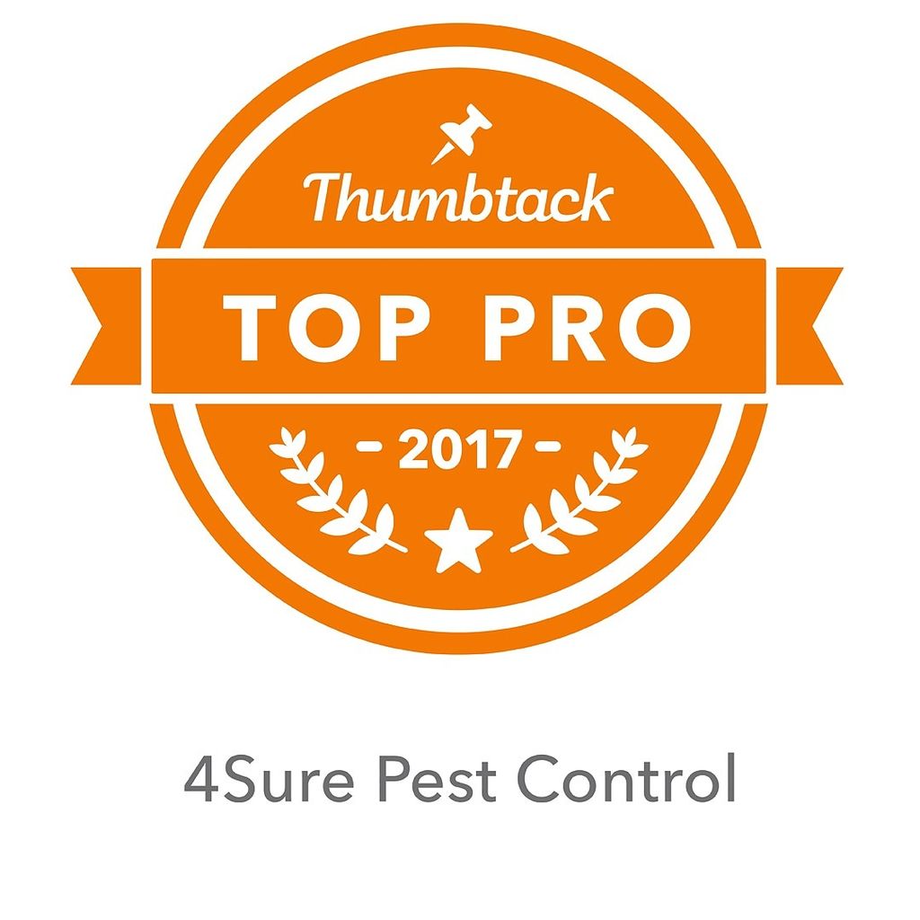 4Sure Pest Control