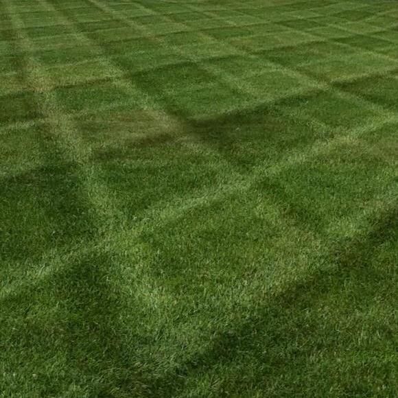 Celtic Cuts Lawn Care