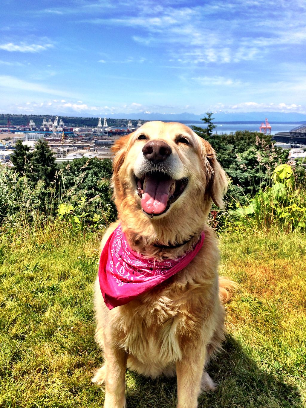 Miss Annie on our first date!