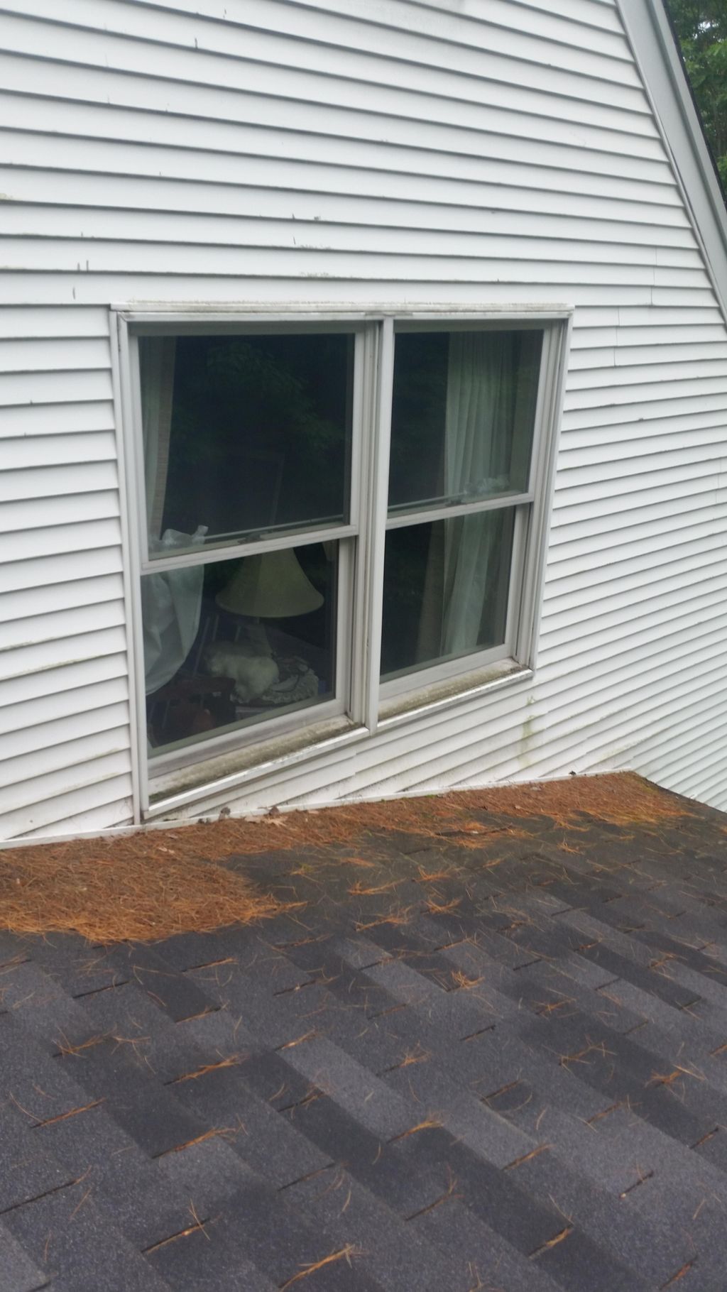 mold on sills BEFORE