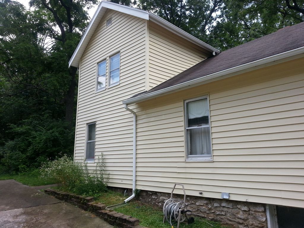 mold removal after