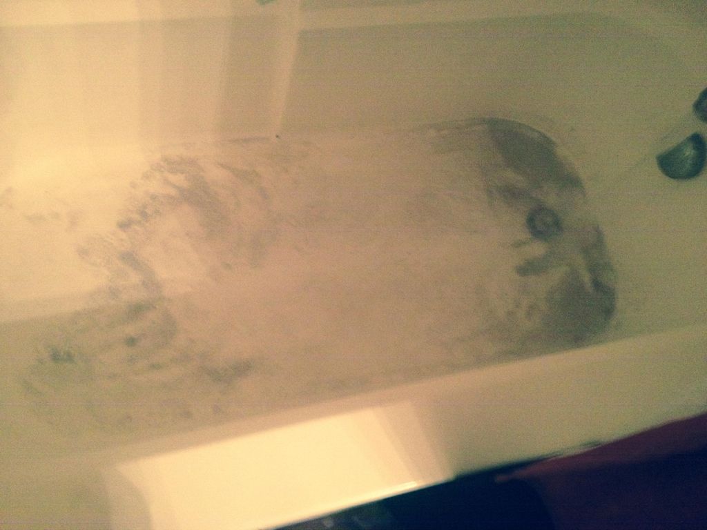 Bath tubs can really call the dirt in an empty hou