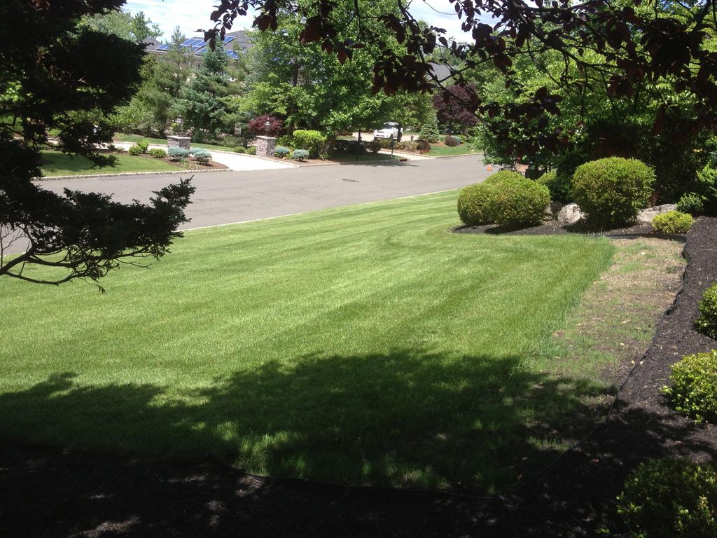 lawn care