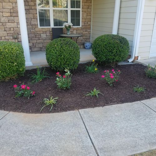  Installed New Brown mulch bedding. new plants and