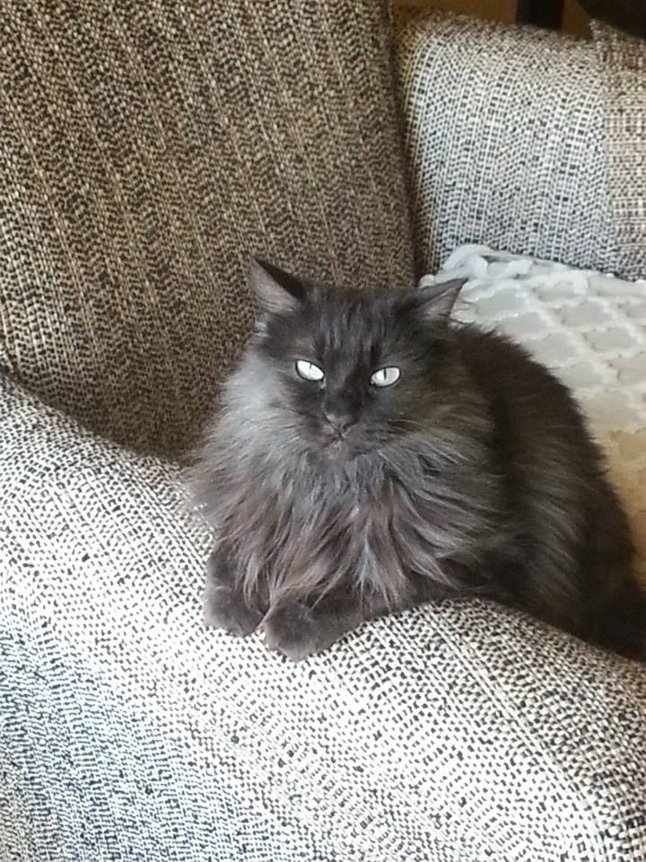 Gina