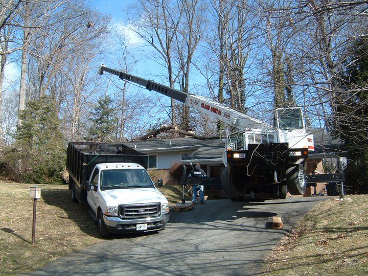 Storm damage