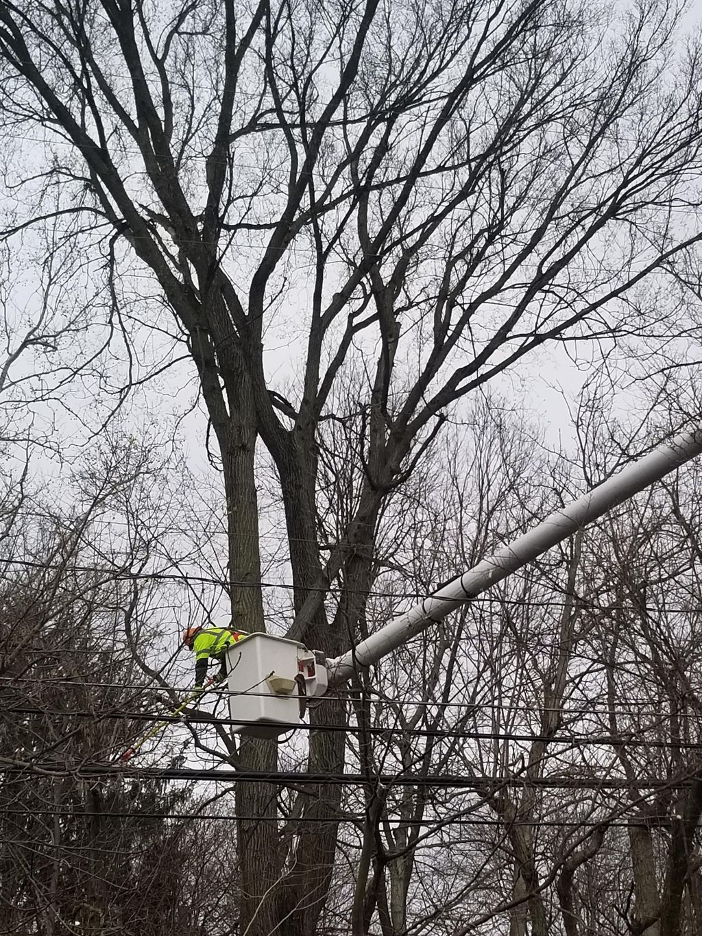 Kevin trimming the rigth away for AEP