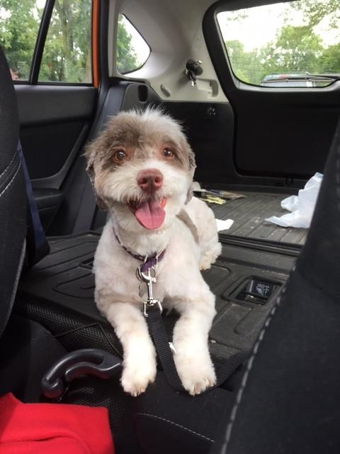 Look at me all shiny and clean.