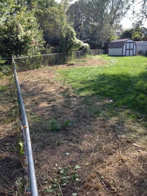 Fence line cleanup after picture.
