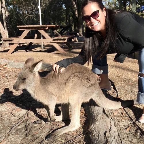 Even lawyers like to play with kangaroos!!