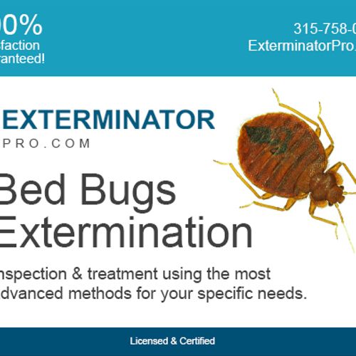 Bed Bugs Extermination in Syracuse, NY