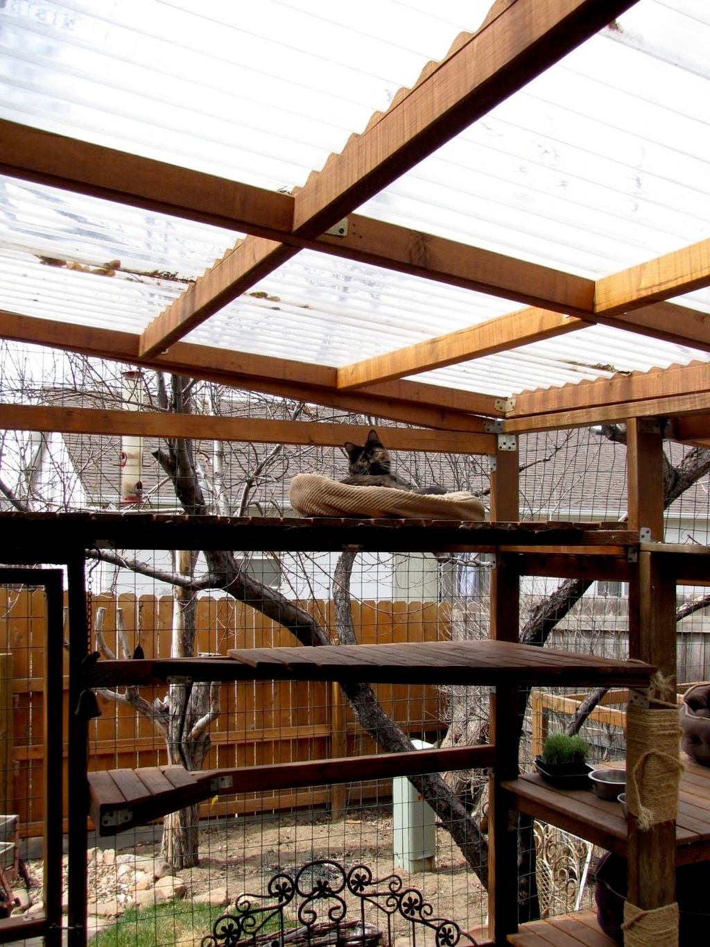 Outdoor cat enclosure