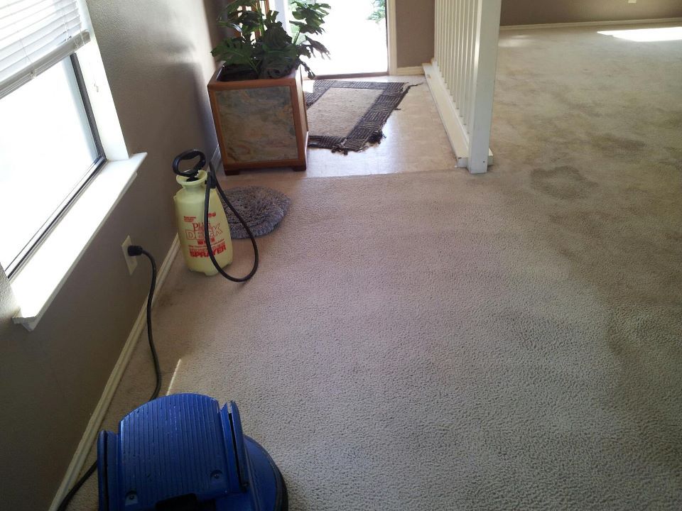 After pet treatment, results do vary.