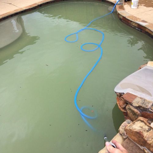 Green pool clean ups: Before