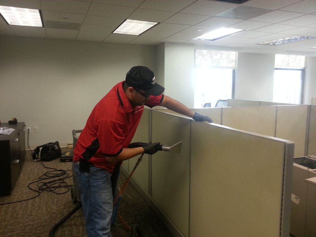 Office cubicle panels cleaning