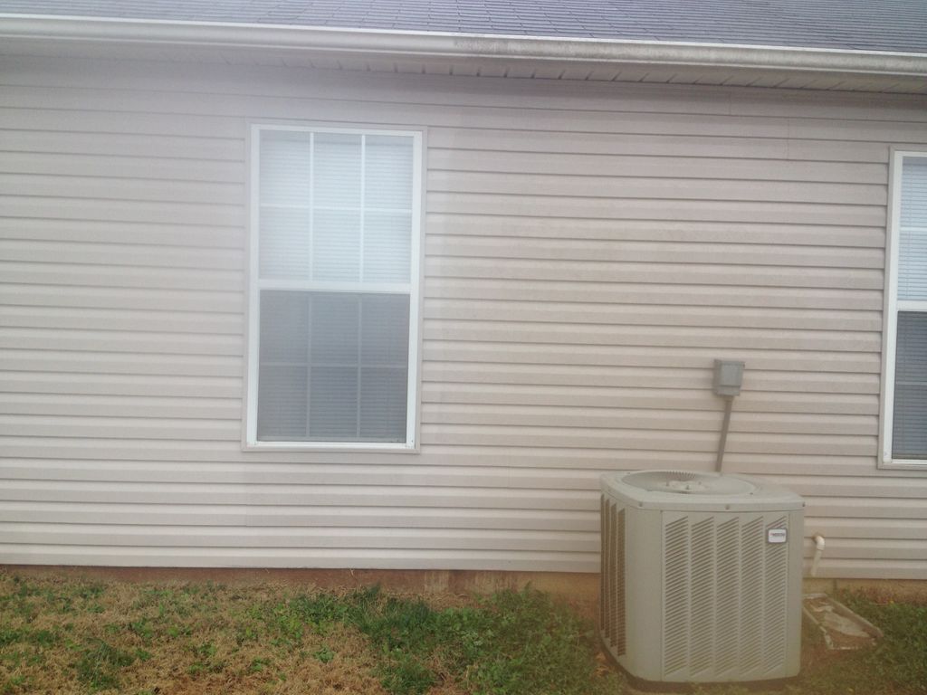 mildew and algae on vinyl siding