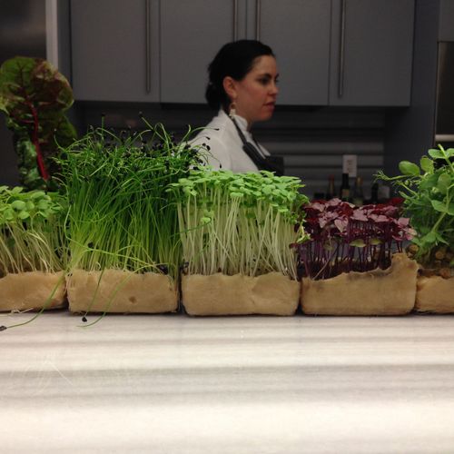Incorporating living microgreens for a private din